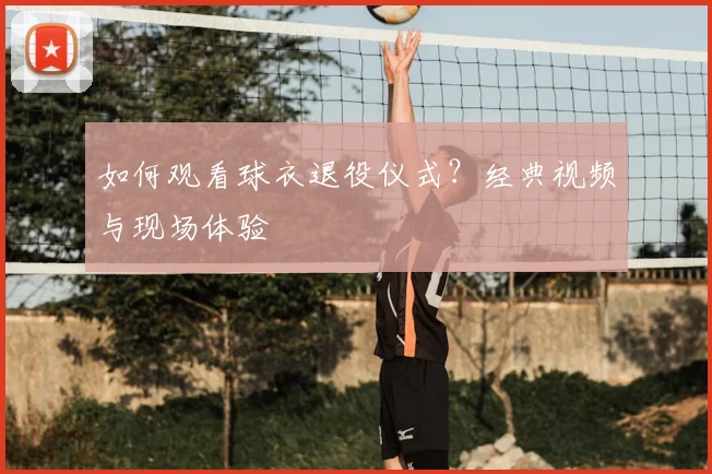 如何观看球衣退役仪式？经典视频与现场体验